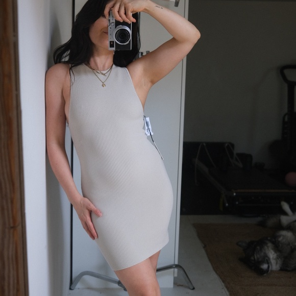 Babaton Dresses & Skirts - Aritzia Babaton contour dress